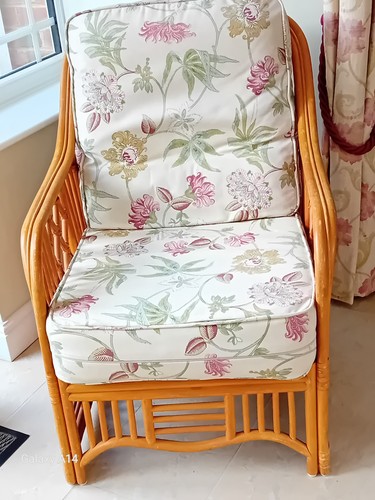 Vintage quality cane - vintage,